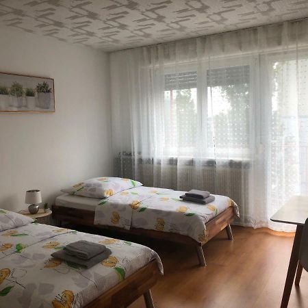 Studios Near Basel Airport Сен-Луи Экстерьер фото