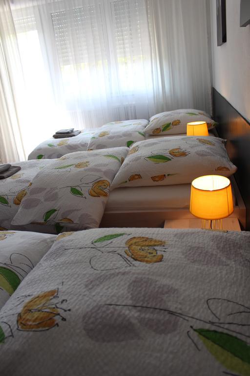 Studios Near Basel Airport Сен-Луи Экстерьер фото