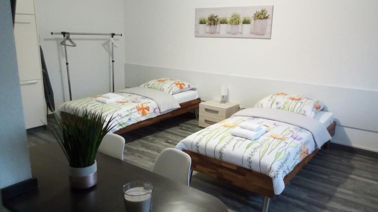 Studios Near Basel Airport Сен-Луи Экстерьер фото